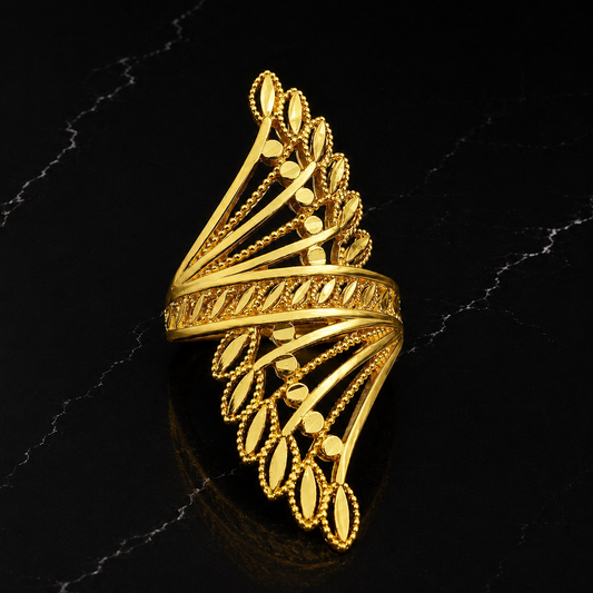 Bague des Remparts de Loropéni