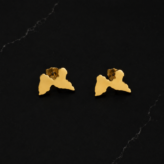Guadeloupe Map Earrings